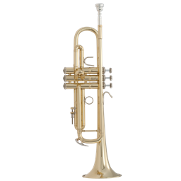 Bach Trumpet Strad #37 Lacquer