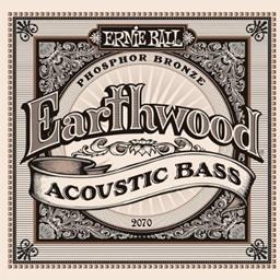 Ernie Ball Earthwood Acoustic Bass