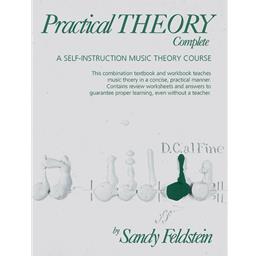 Practical Theory Complete- Sandy Fieldstein