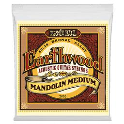 Ernie Ball 2065 Earthwood