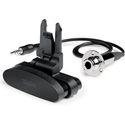 Taylor GS Mini Pickup