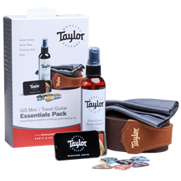 Taylor GS Mini/Travel Guitar Essentials Pack