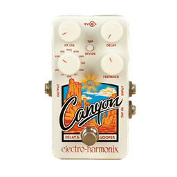 Electroharmonix Canyon Delay and Looper Pedal