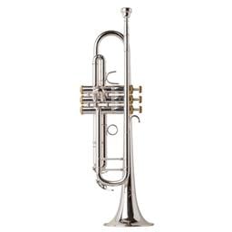 Eastman ETR520GS Trumpet Silver Plated, Gold Brass Bell, Gold Trim
