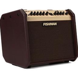 Fishman Loudbox Mini - 60 watts