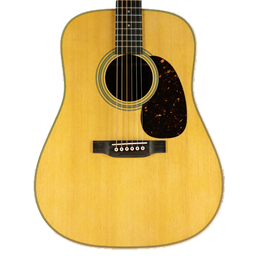 Martin D28 with Case