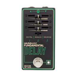 Walrus Fundamental Series: Delay
