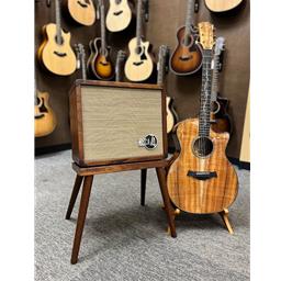 Taylor Circa '74 Acoustic Amp