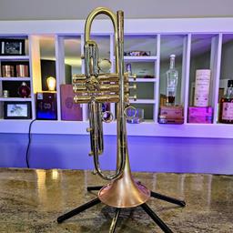 Taylor Trumpets Piranha Bb Trumpet (Lacquer)