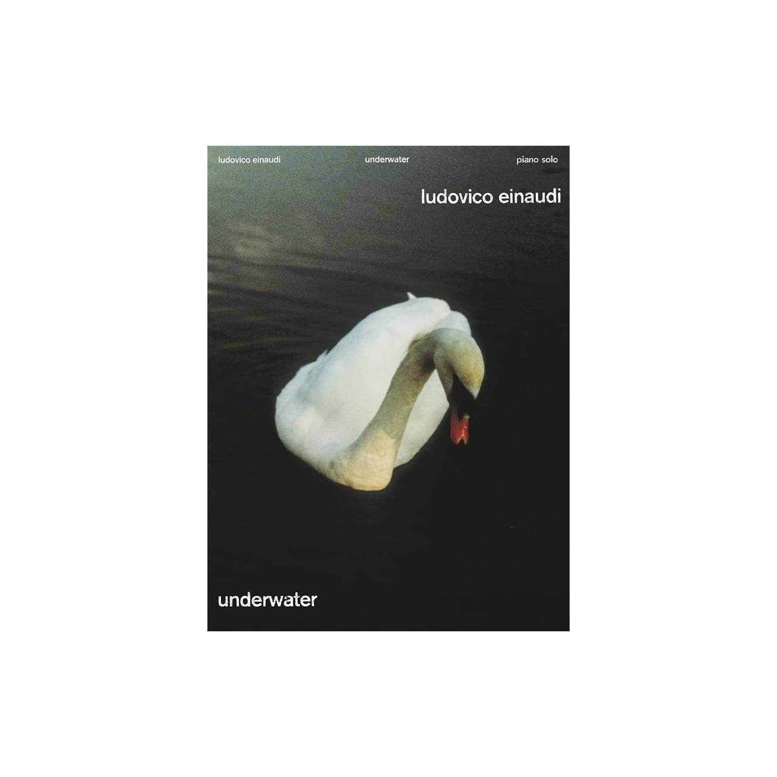 Piano Ludovico Einaudi Underwater Solo Piano