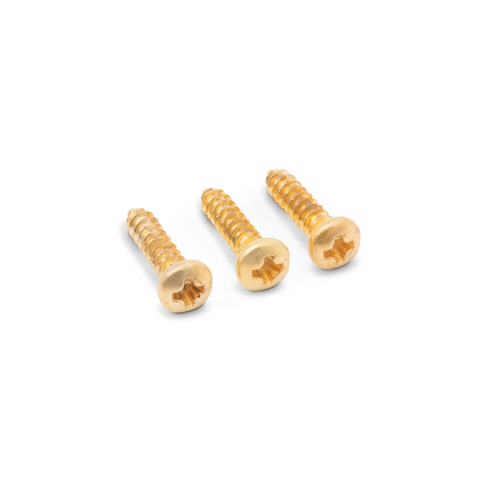 83302 Taylor Truss Rod Cover Screws Gold