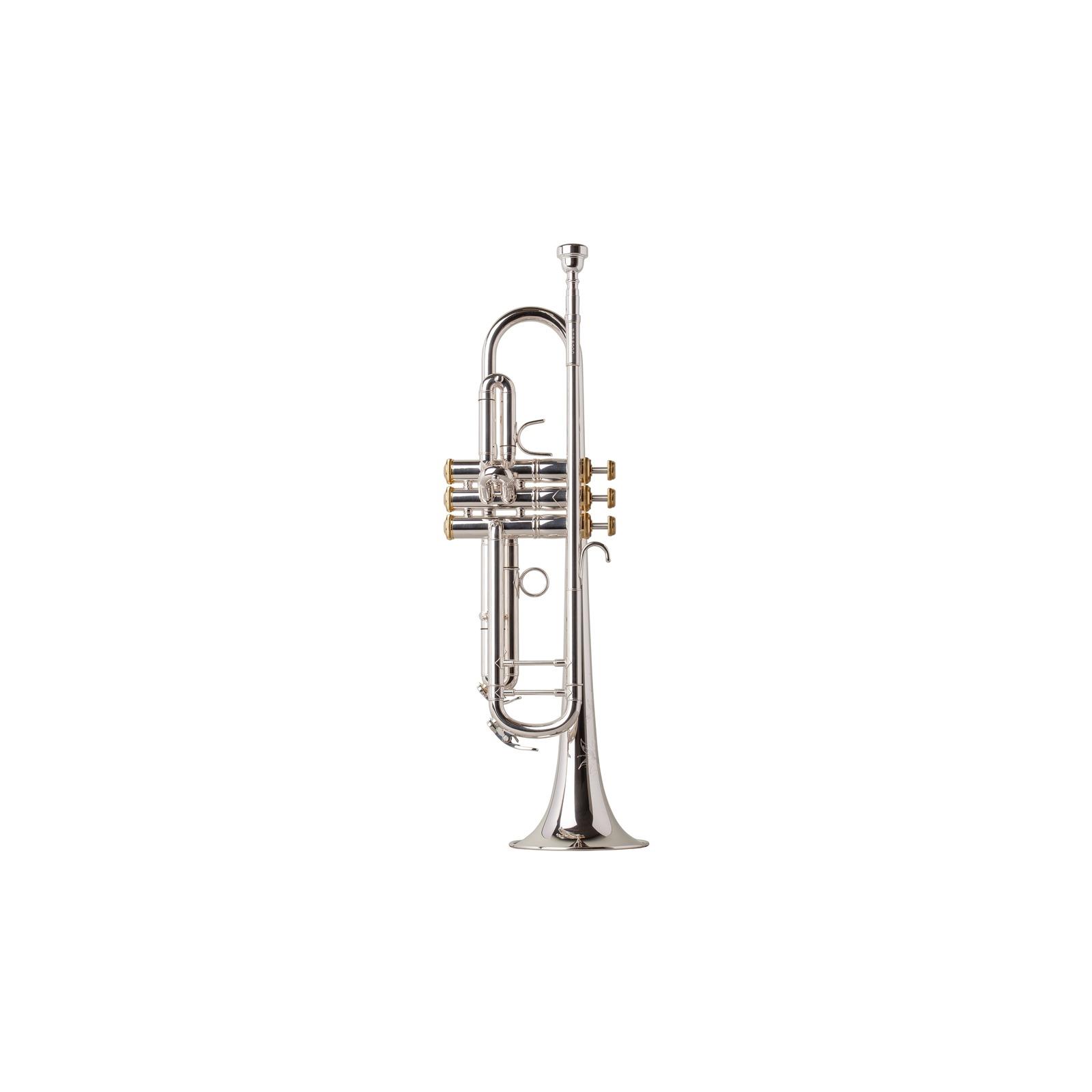 Eastman ETR520GS Trumpet Silver Plated, Gold Brass Bell, Gold Trim