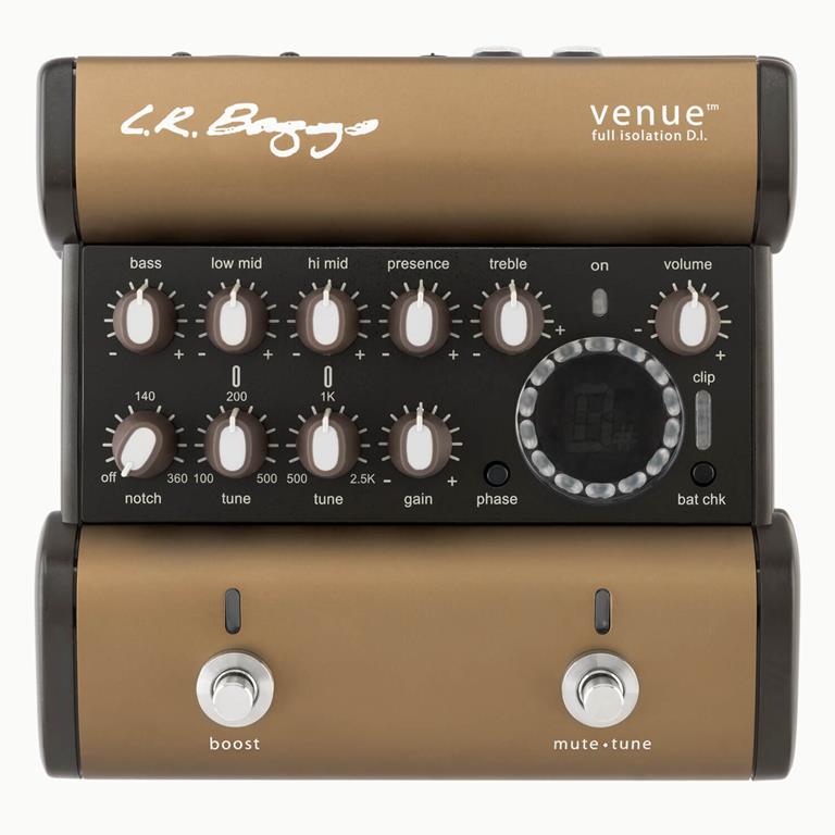 L.R. Baggs Venue DI