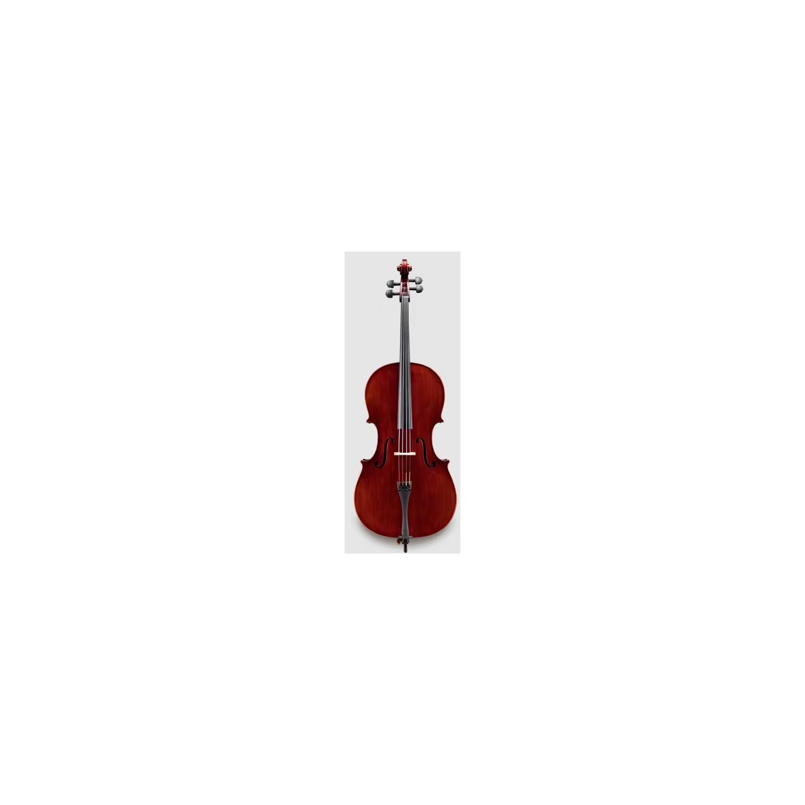 Eastman VC5GSBC 4/4 Cello Galiano