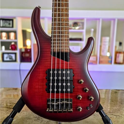 MTD Kingston Super 5: Dr. Brown's Burst V2